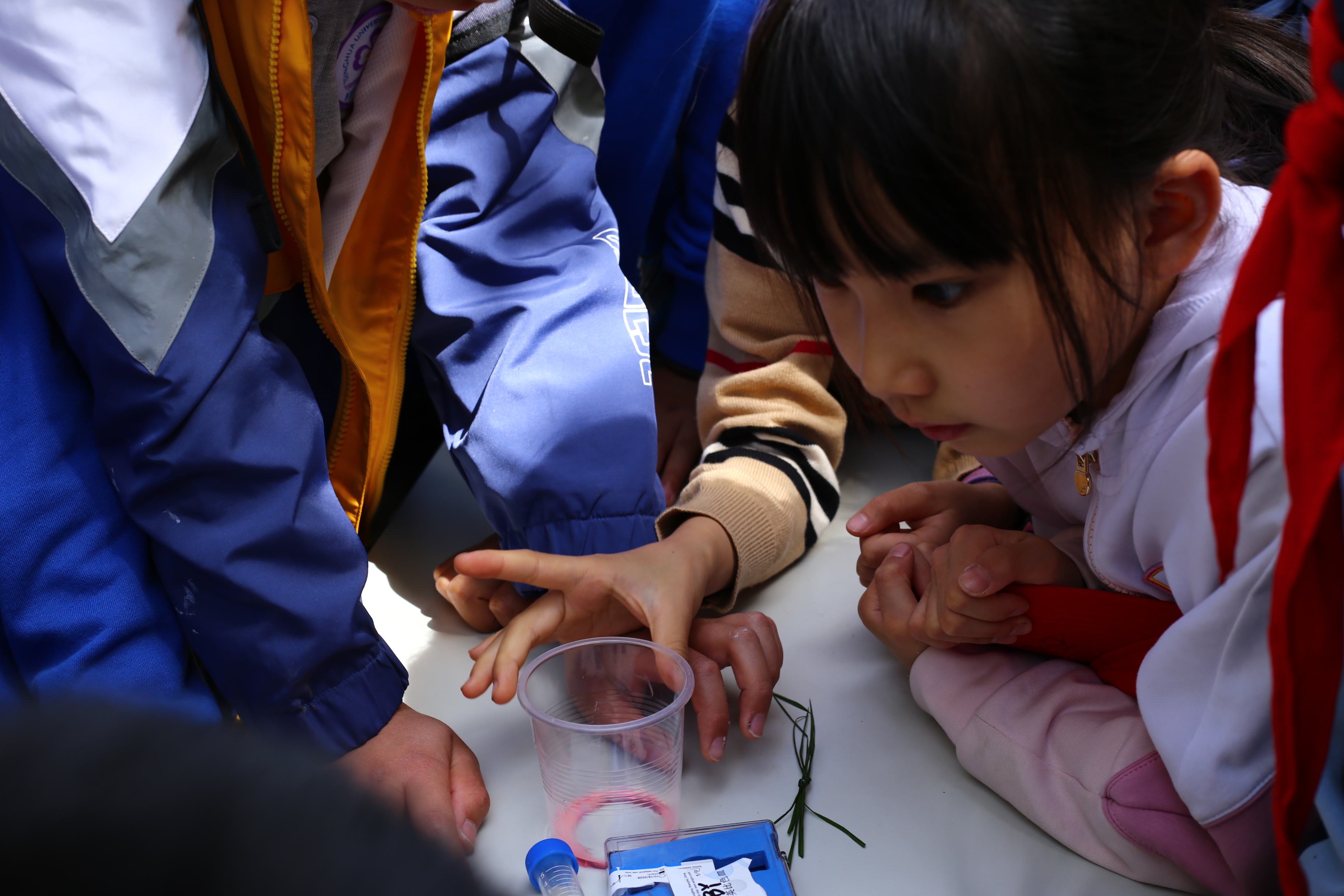 20230416-暖芽计划-赵南岚-孩子们认真观察水样颜色变化.JPG 20230416-暖芽计划-赵南岚-孩子们认真观察水样颜色变化.JPG